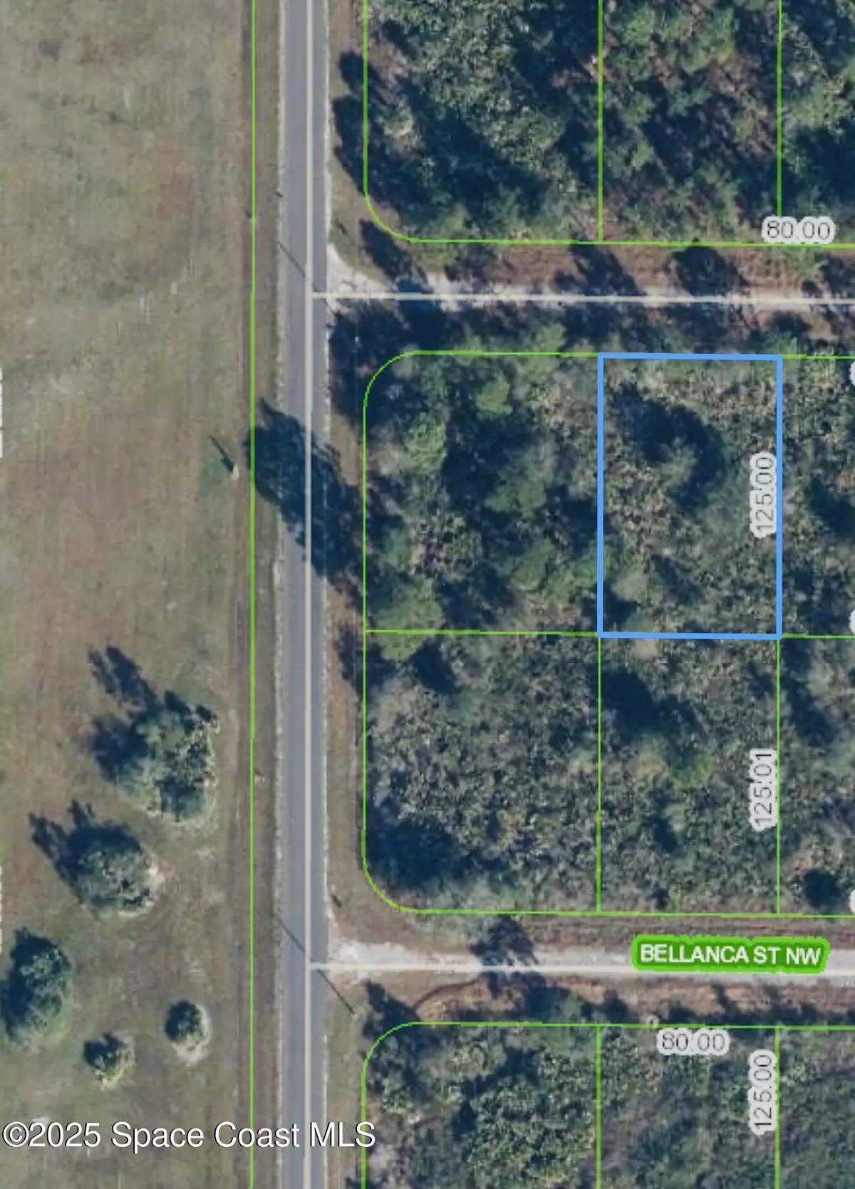 Lake Placid, FL 33852,762 American ST NW