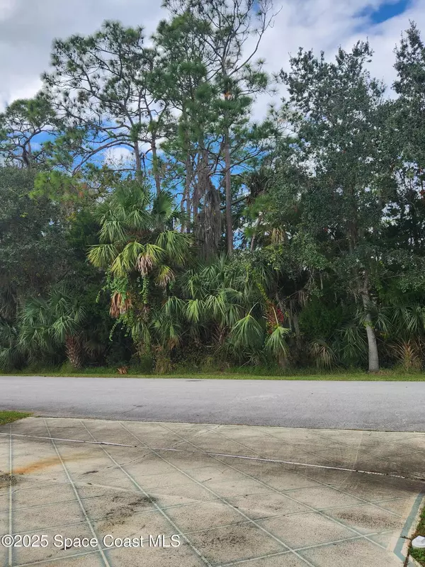 Titusville, FL 32780,513 Lake DR