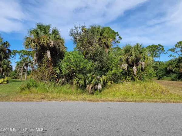 Palm Bay, FL 32909,121 Halloran ST SE