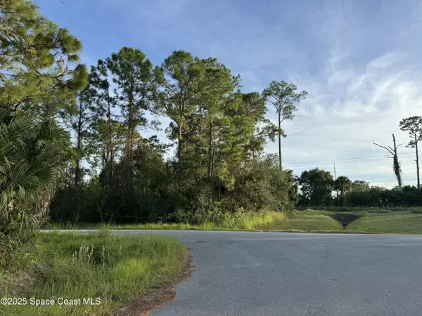 Palm Bay, FL 32909,666 Henlock ST SE