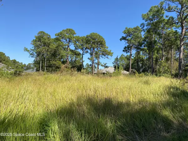 Palm Bay, FL 32909,1121 Yager RD SE