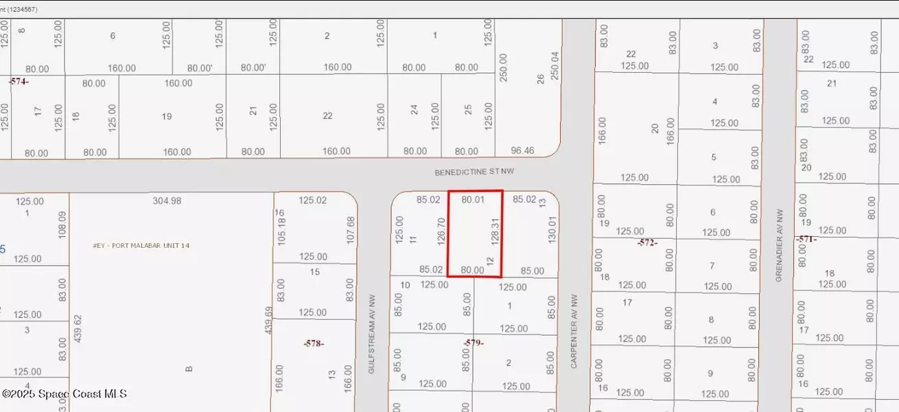 1018 Benedictine ST NW, Palm Bay, FL 32907