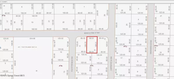 Palm Bay, FL 32907,1018 Benedictine ST NW