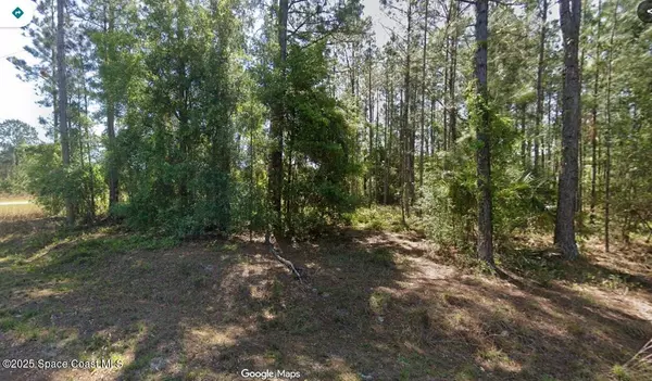 Silver Springs, FL 34488,0 Sequoia DR