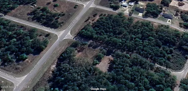Silver Springs, FL 34488,0 Sequoia DR