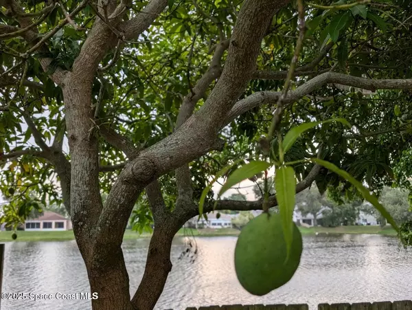 West Melbourne, FL 32904,1765 Vista Lake CIR