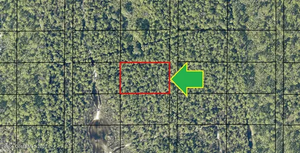 Grant, FL 32949,00000 No Access West Of  Eagles AVE