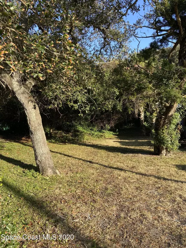 New Smyrna Beach, FL 32169,0 Lincoln AVE