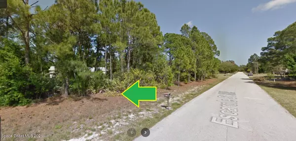 Palm Bay, FL 32909,507 Escarole ST SE