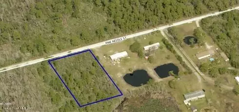 Tbd Pine Needle ST, Mims, FL 32754