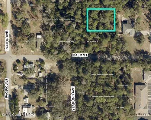 Weeki Wachee, FL 34614,0 Yearling AVE