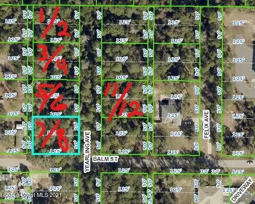 Weeki Wachee, FL 34614,0 Yearling AVE