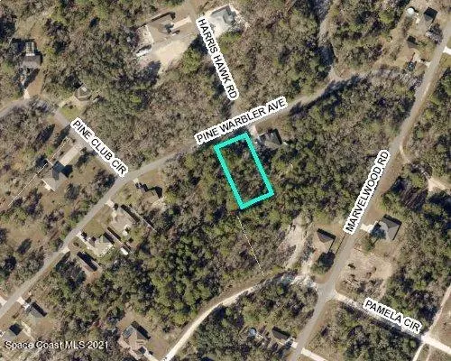 Weeki Wachee, FL 34614,0 Pine Warbler AVE