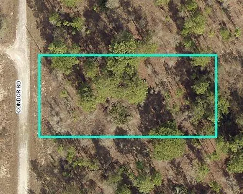 0 Condor Lot 6 RD, Weeki Wachee, FL 34614