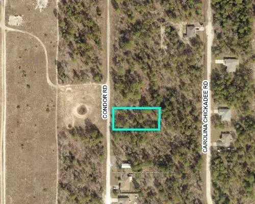 Weeki Wachee, FL 34614,0 Condor Lot 6 RD