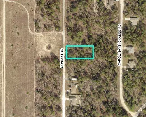 Weeki Wachee, FL 34614,0 Condor RD