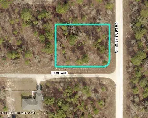 Weeki Wachee, FL 34614,0 Chimney Swift RD