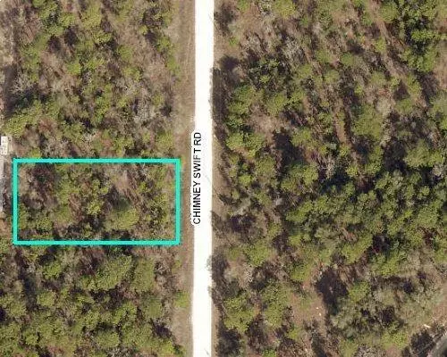 0 Chimney Swift  Lot 12, Weeki Wachee, FL 34614