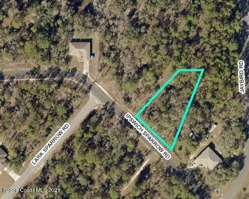 Weeki Wachee, FL 34614,0 Ipswich Sparrow Lot 8 RD