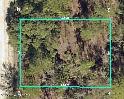 Weeki Wachee, FL 34614,0 Parakeet RD