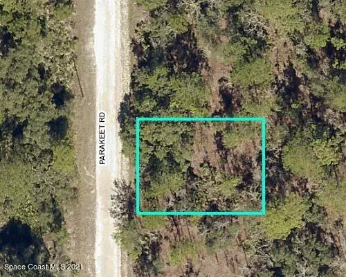 Weeki Wachee, FL 34614,0 Parakeet RD