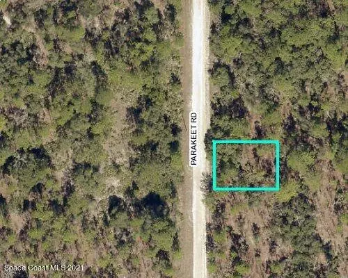 Weeki Wachee, FL 34614,0 Parakeet RD