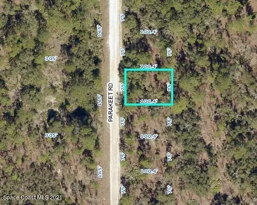 Weeki Wachee, FL 34614,0 Parakeet RD