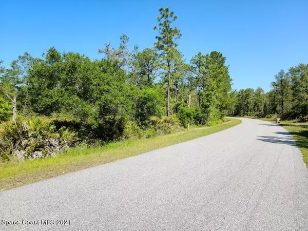 Deland, FL 32720,000 Ponderosa AVE