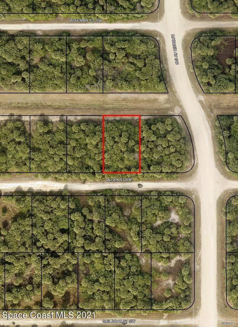 Palm Bay, FL 32908,811 Olivia ST SW