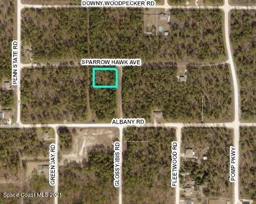 Weeki Wachee, FL 34614,0 Sparrow Hawk AVE