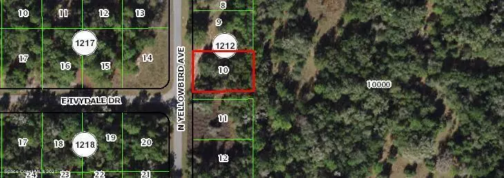 Dunnellon, FL 34434,8529 N Yellowbird AVE