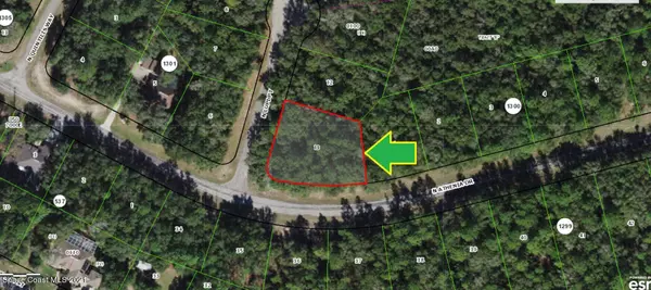 10233 N Athenia DR, Dunnellon, FL 34434