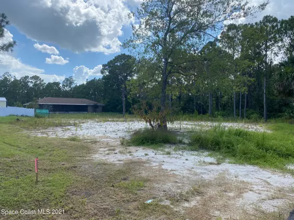 Palm Bay, FL 32909,0000 Sandia RD SE