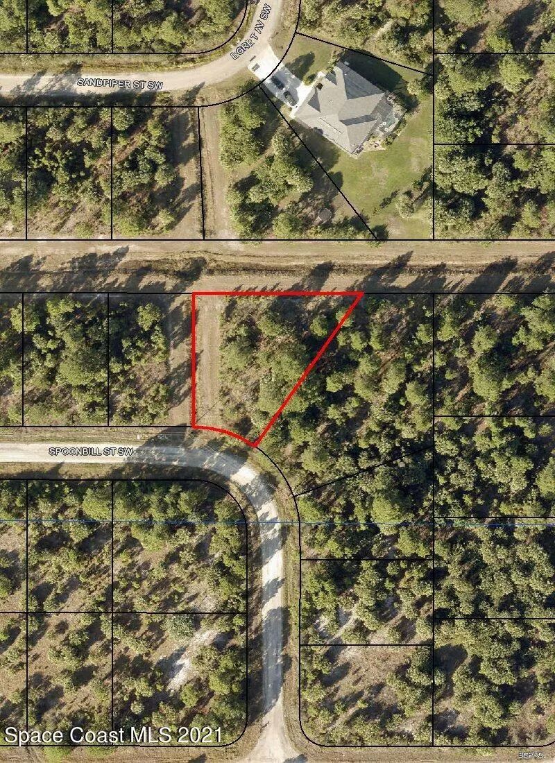 Palm Bay, FL 32908,705 Spoonbill ST SW