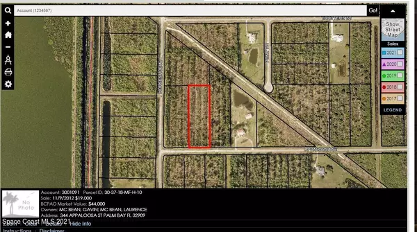 Palm Bay, FL 32909,344 Appaloosa ST