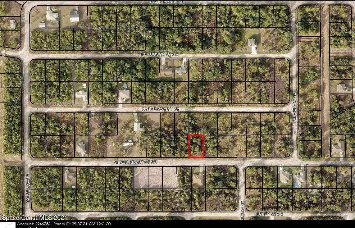 Palm Bay, FL 32909,225 Silver Frost ST SE