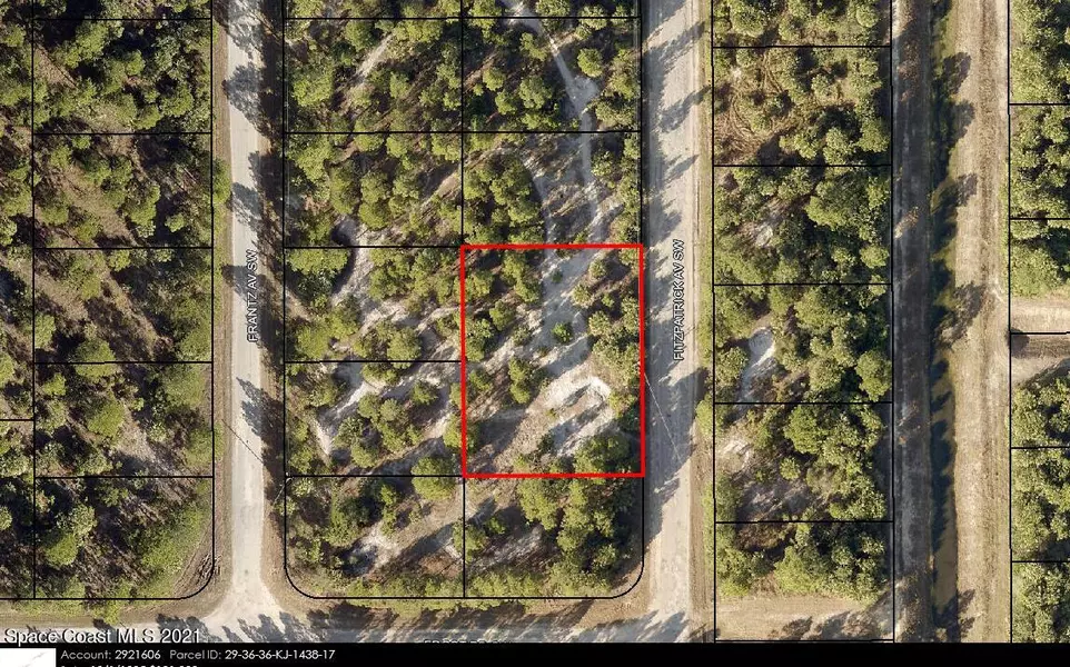 3198 Fitzpatrick AVE SW, Palm Bay, FL 32908