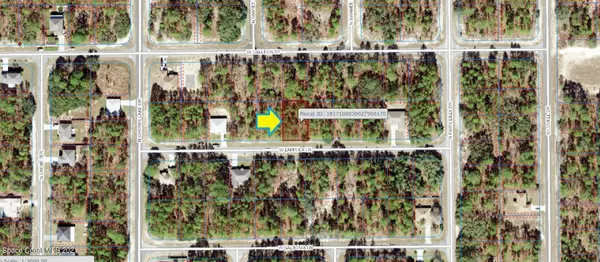 Citrus Springs, FL 34433,3705 W Lappula LN