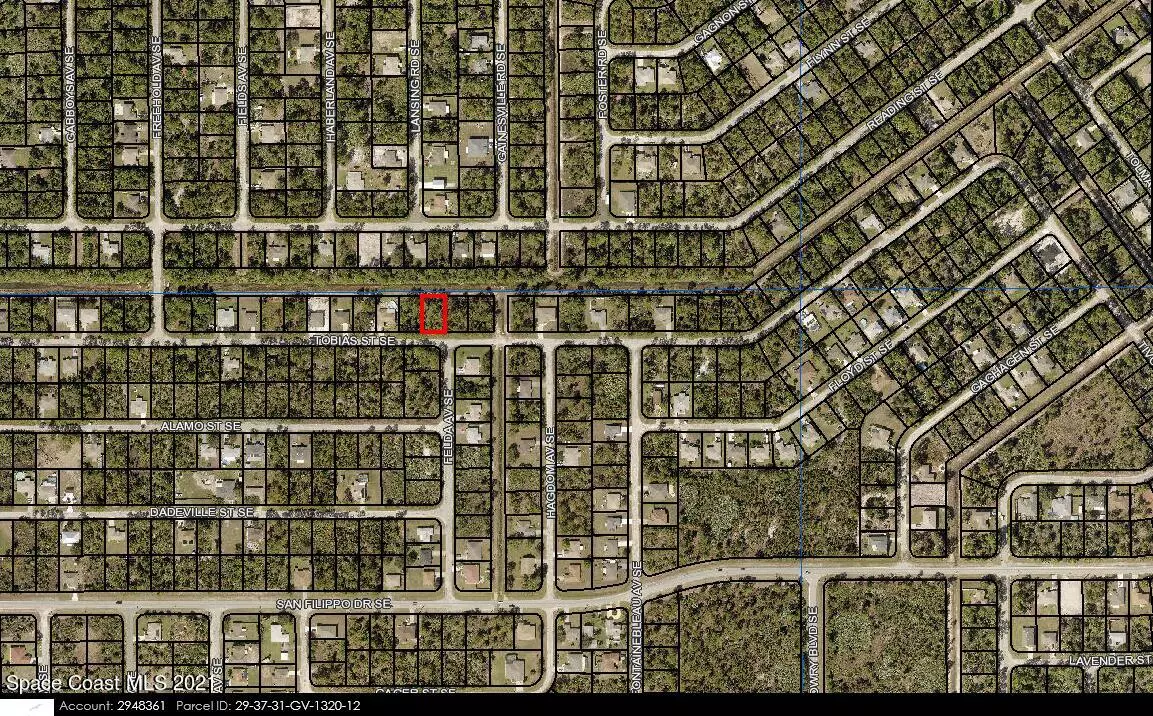 Palm Bay, FL 32909,483 Tobias ST SE