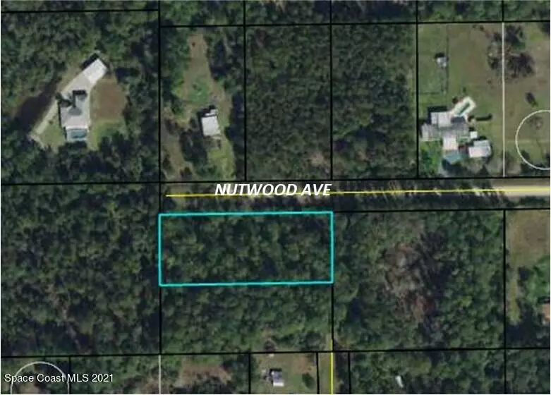 6183 Nutwood AVE, Bunnell, FL 32110