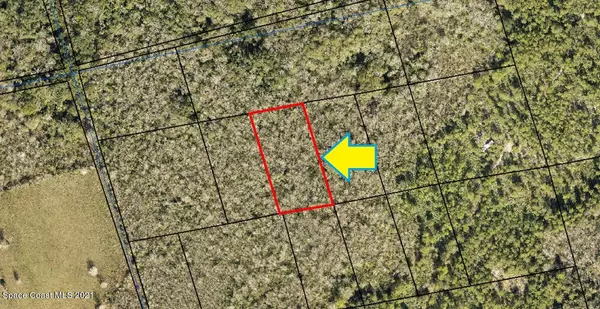 Mims, FL 32754,0000 No Access - Lot 4.03