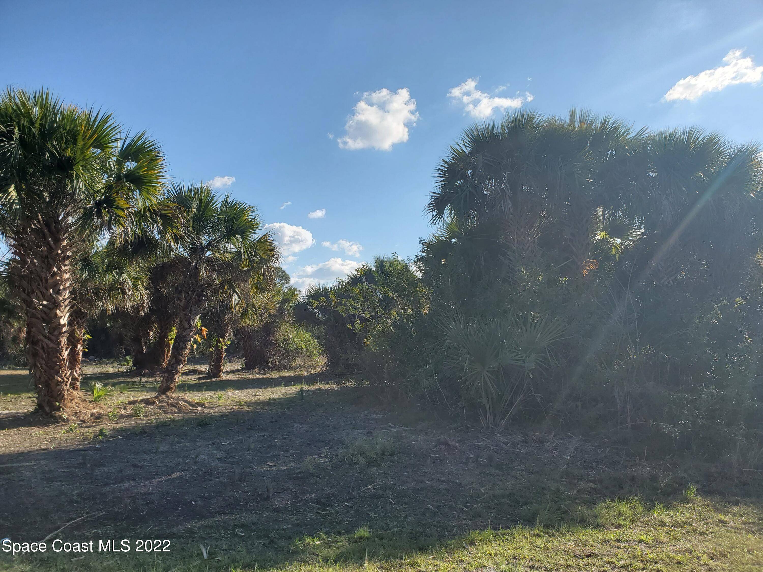 772 Mistletoe ST, Palm Bay, FL 32908