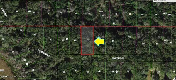 Inverness, FL 34453,2108 Mistletoe ST