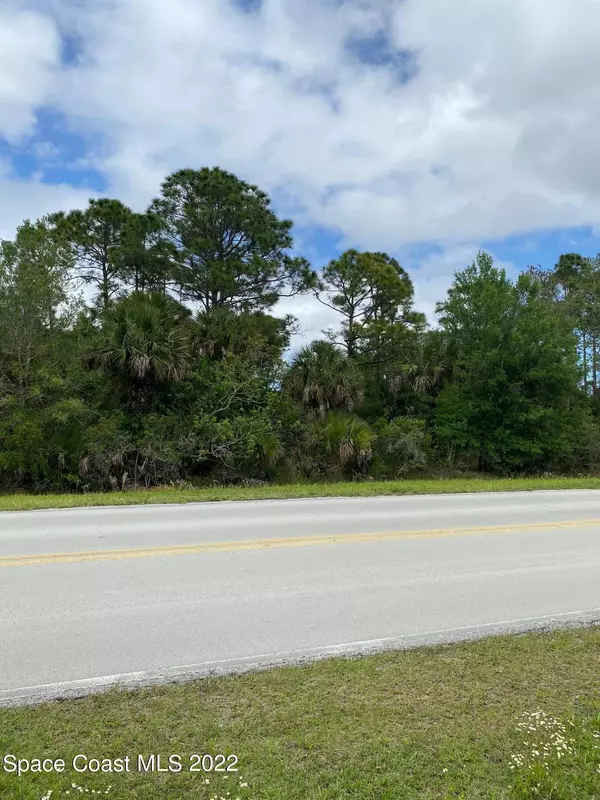 Grant Valkaria, FL 32949,0000 Vacant Lot Grant RD