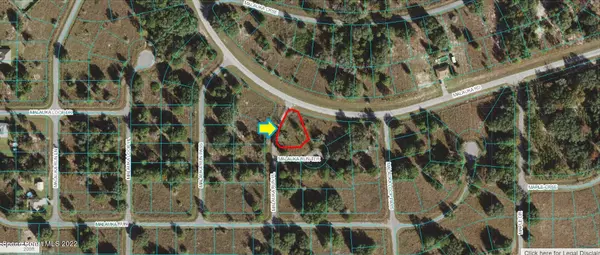 Weirsdale, FL 32195,0000 Malauka Run TER