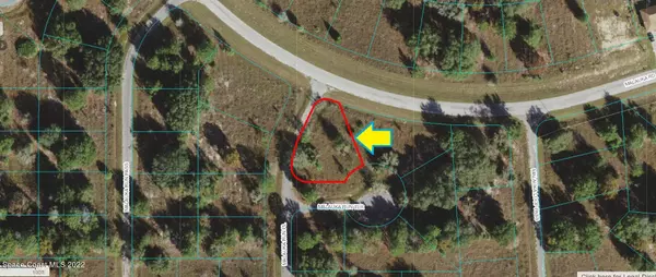 Weirsdale, FL 32195,0000 Malauka Run TER