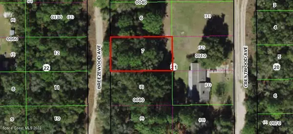 806 Breezewood AVE, Inverness, FL 34453