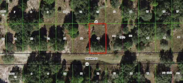 2410 Adams ST, Inverness, FL 34453