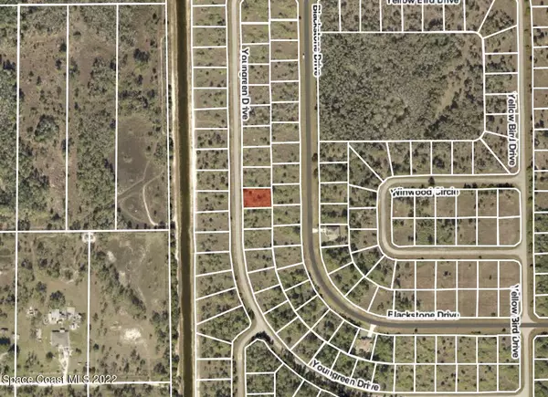 Cape Coral, FL 33914,851 Youngreen DR