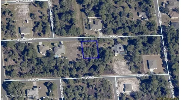 334 Silver Frost ST SE, Palm Bay, FL 32909